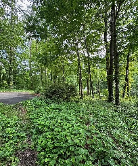 45 Florida Ave — Photo 8
