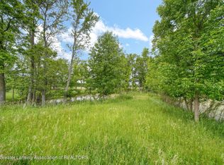 7275 Winegar Rd, Perry, MI 48872