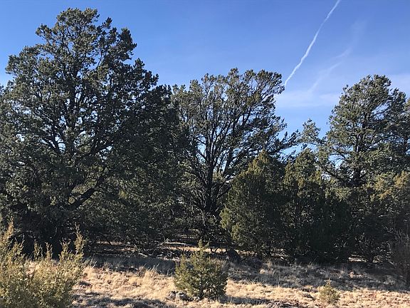 4th image of Tbd Acr 3158