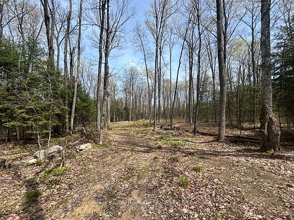 2nd image of 0 Ely Side Rd