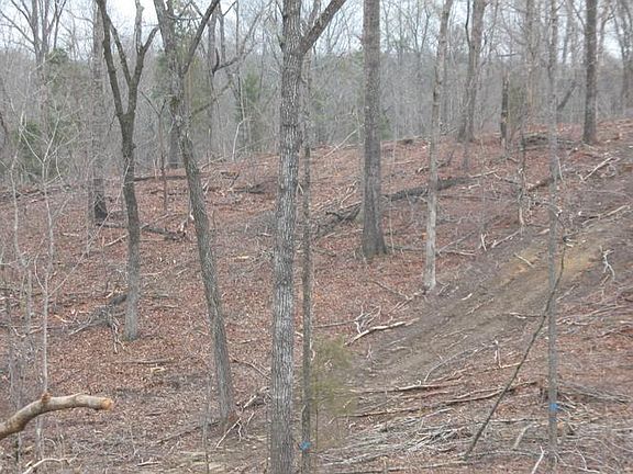 3rd image of 2 Point 9 Acres In Chilton Co