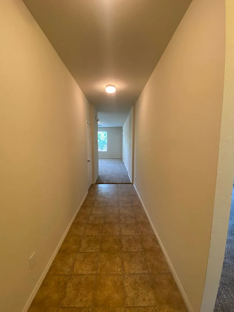 Wonderful 3 bed 2 bath in Paloma Creek! — Photo 2