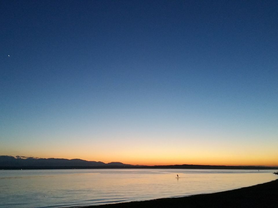 View from the rooftop deck