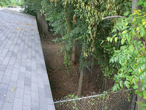 fenced dog run