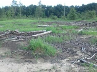 316 Gum Springs Rd, Bishopville, SC 29010