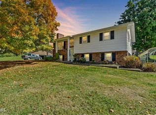 202 Norwood Dr, Bristol, VA 24201