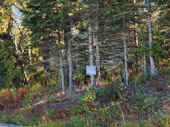 L2 Tustumena Lake Rd, Kasilof, AK 99610