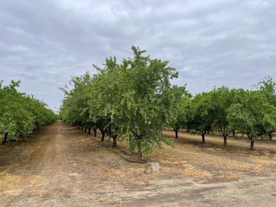 29630 Highway 145, Madera, CA, 93636