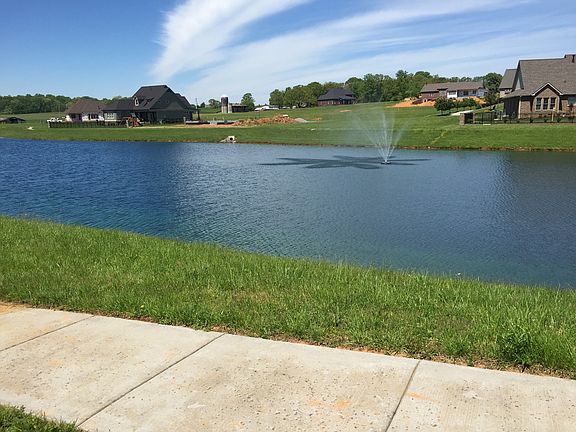 Lake View from rear of home
