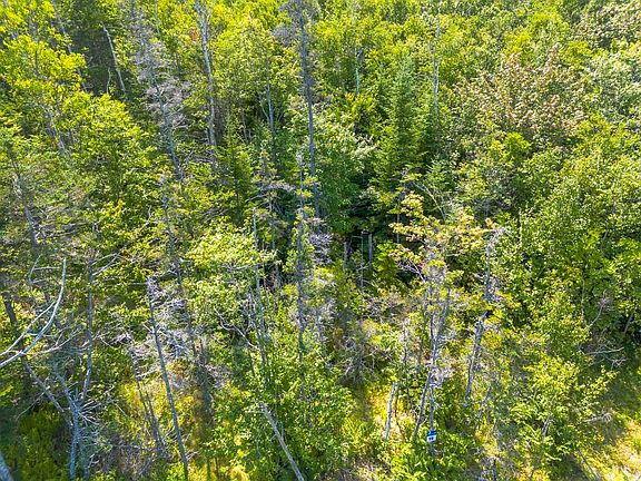 3rd image of LOT 19 Pelton Mountain Rd