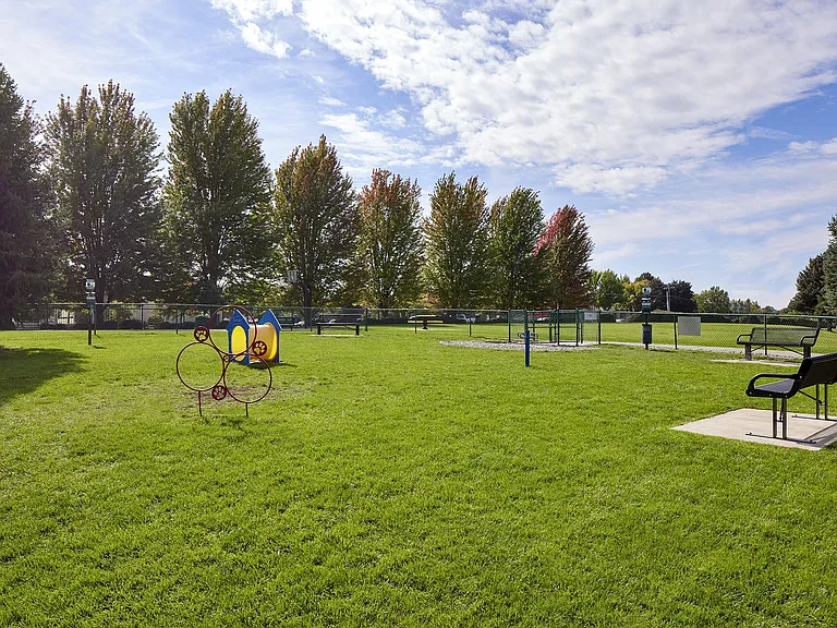 Dog Park