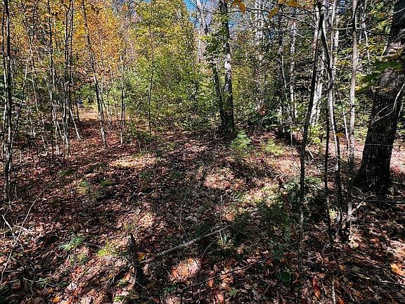 3rd image of MAP 408 LOT 39-1 Bullock Rd