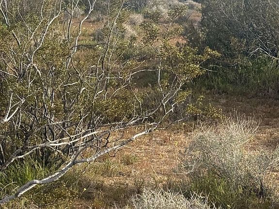 4th image of Freeman Rd