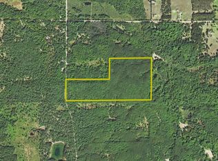 546 N Frank Smith Rd, Luther, MI 49656