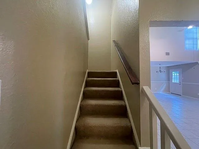 Picture 17