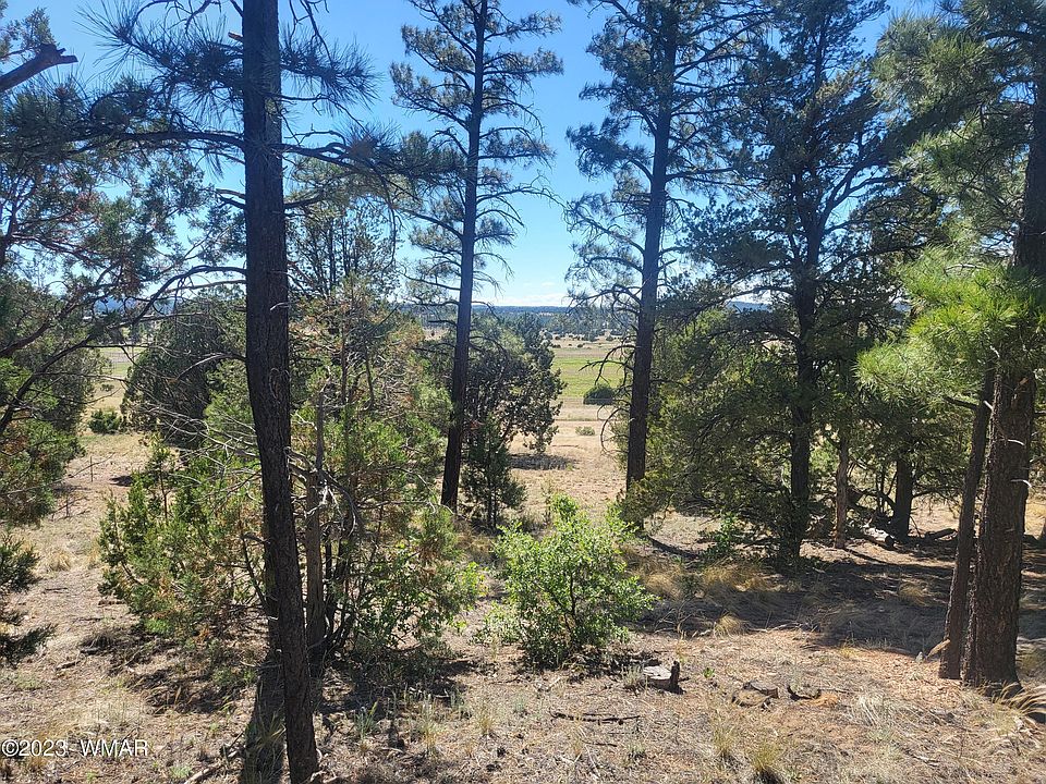 2nd image of 0 Capps Ranch Rd