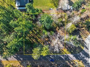 360 Carbon Hill Drive, Carbonado, WA 98323