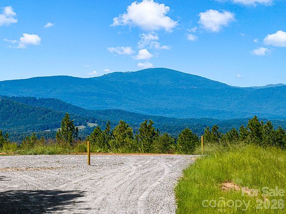 4th image of Williams Loop Trl