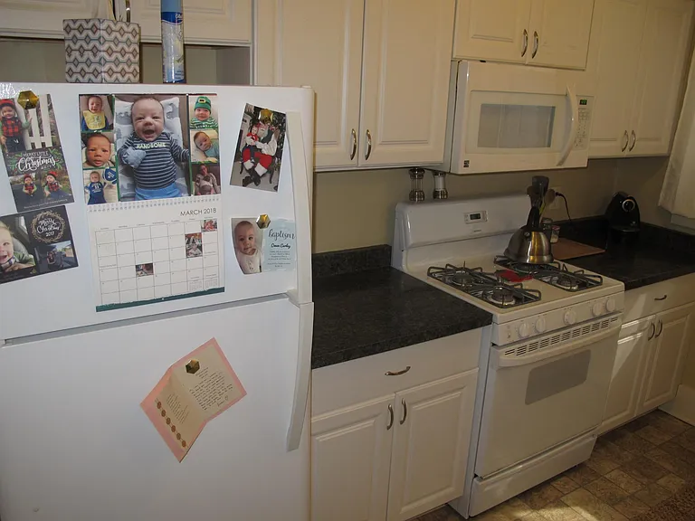 43 Vick Park #4 — Photo 5