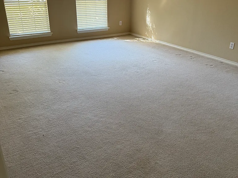 2513 Frosted Green Ln — Photo 9