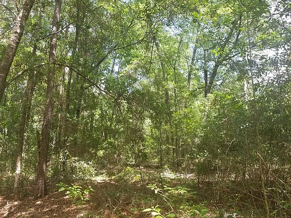 4th image of 432 Pine Acres Dr