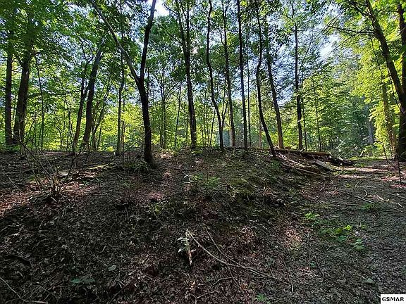 2nd image of 10 Little Round Top Ln Lot 10/11