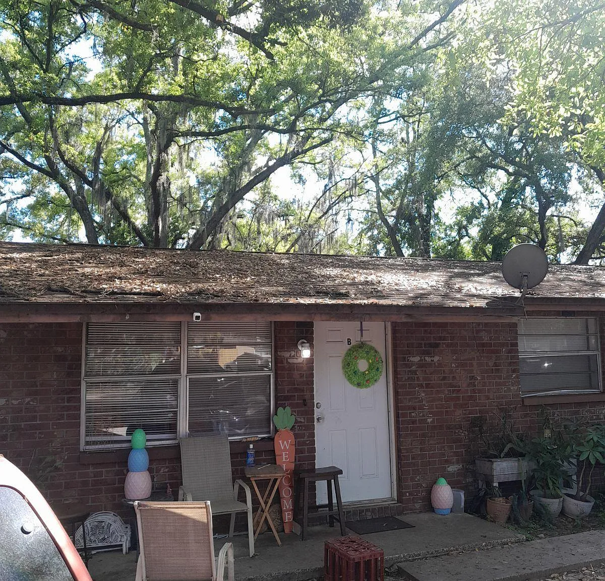 2 bed, 740 sqft, $1,600 — Photo 1