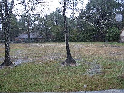 5th image of 4256 Ben Blvd