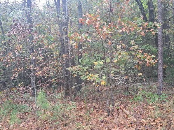 2721 Williamson Dr, Lizella, GA 31052