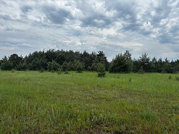 3rd image of 4856 Mancelona Rd