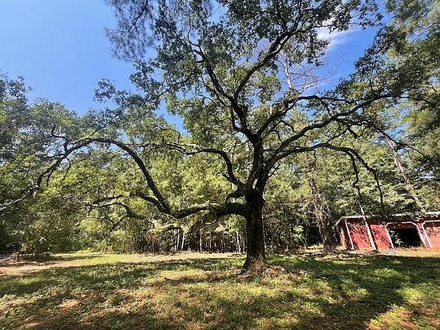 1st image of 320 Buras Ranch Rd
