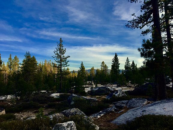 An Ebbett's Pass Community