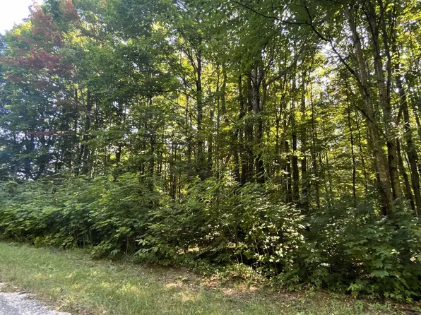 LOT 466 Northwood Dr, Elmira, MI 49730