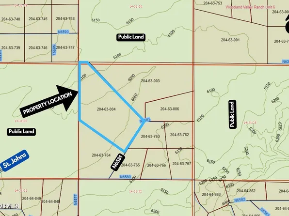 59 County N6581 Road #D, St Johns, AZ 85936