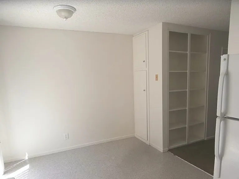251 Mathilda Dr — Photo 11