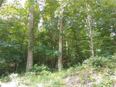 0 Mayford Hicks Holw, Elkview, WV, 25071