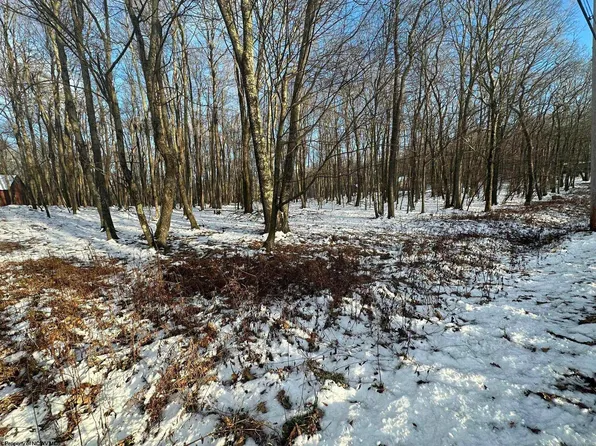 LOT 21 Alpine Dr, Terra Alta, WV 26764