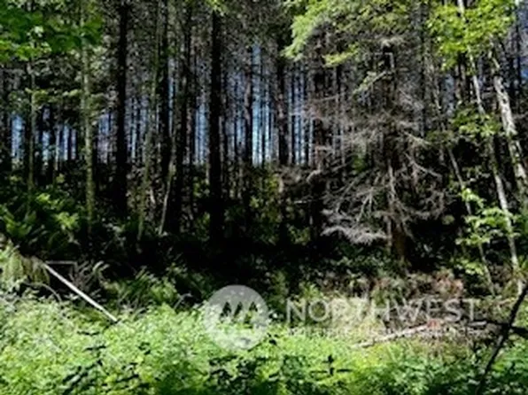 103 Marjorie Lane, White Pass, WA 98377