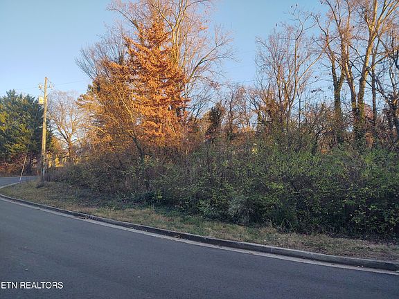 3rd image of 4934 Forest Wood Dr