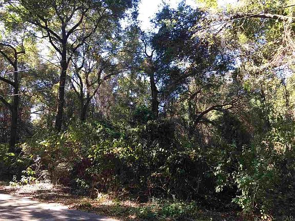 3rd image of 6081 Spanish Oak Dr