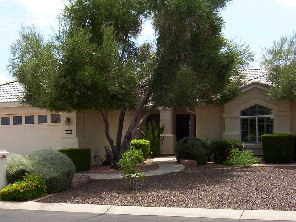 front yard