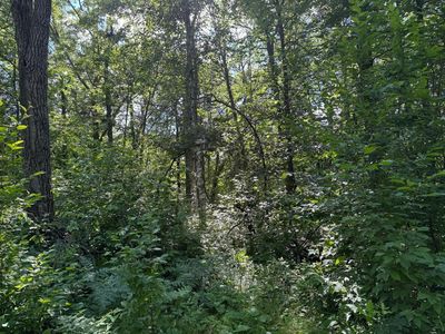 Xxx Blue Ridge Dr, Breezy Pt, MN, 56472