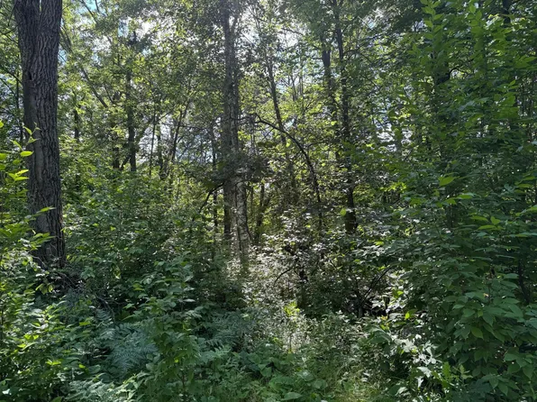 Xxx Blue Ridge Dr, Breezy Pt, MN 56472