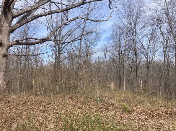 0 Leaf Dr, Flora, IL 62839