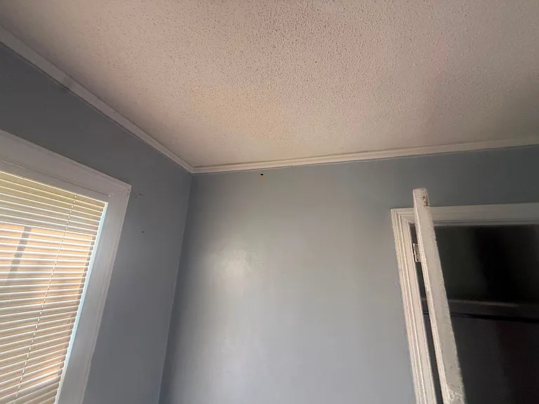 2668 Burns Ave — Photo 10