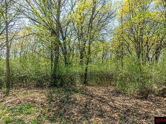 5th image of 152 Oak Marsh Dr