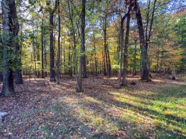 37 Lt Hooper Rd, Alexandria Twp., NJ 08848