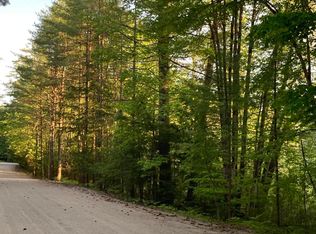 0 Little Pond Rd, Chestertown, NY 12817