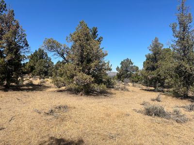 21060 Arid Ave, Bend, OR, 97703