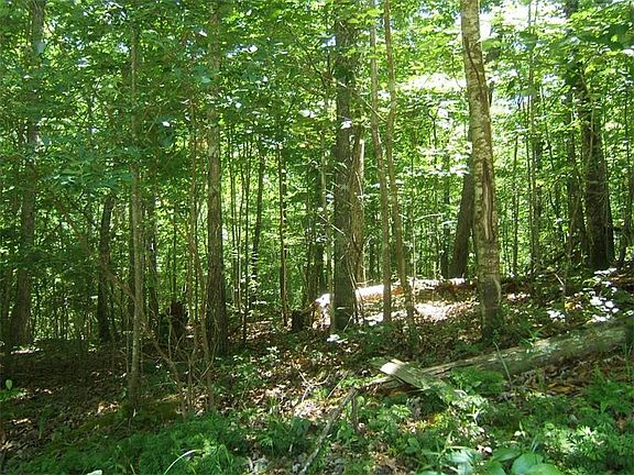 3rd image of 0 Sourwood Ln